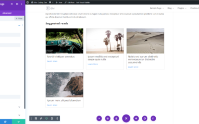 Show related posts with ACF and Divi Object Loop