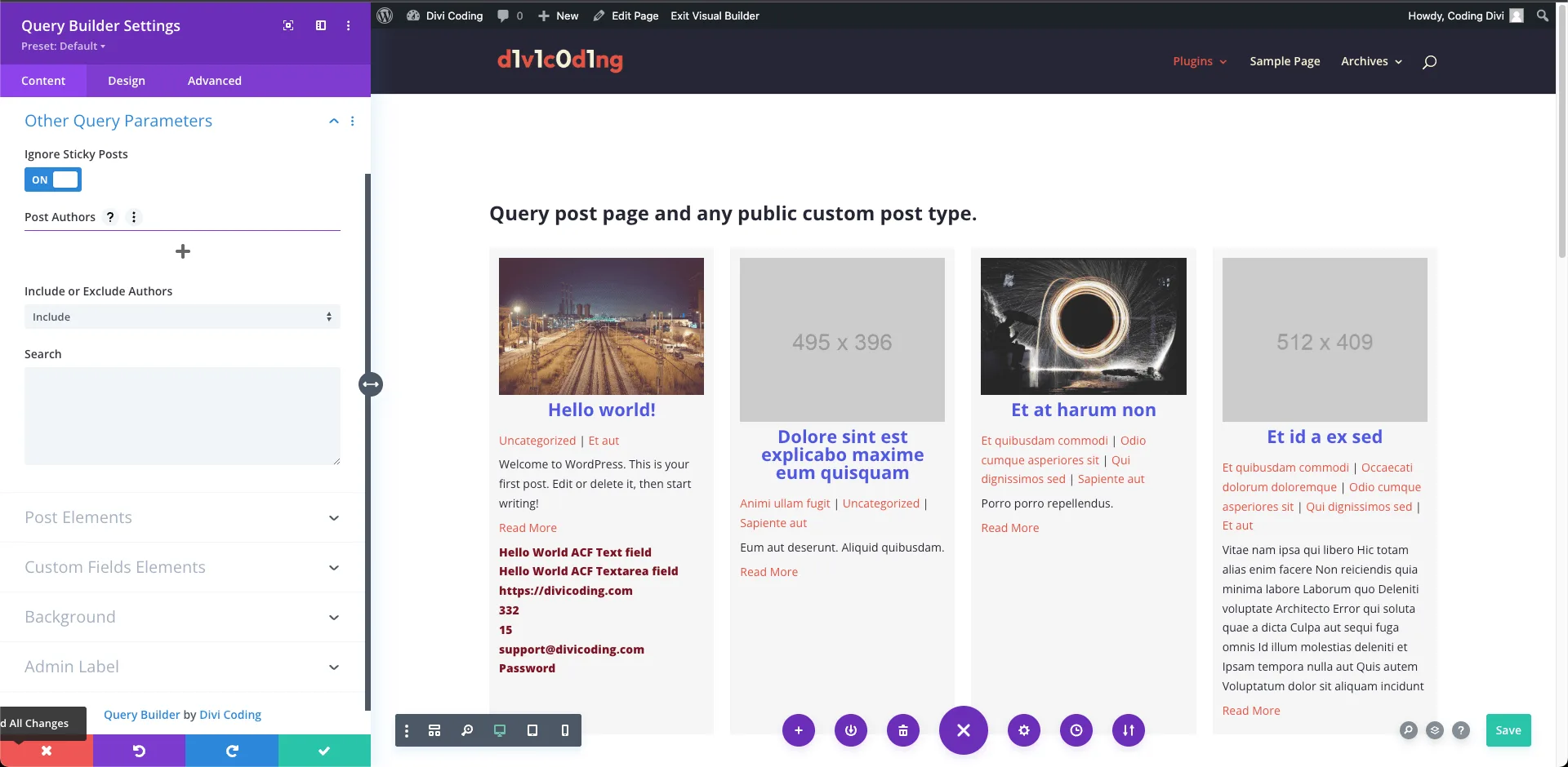 Divi Query Builder Other Query Arguments