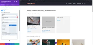 Divi Query Builder Post Meta Arguments