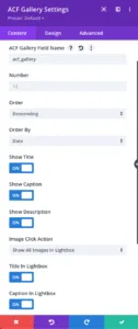 Divi ACF Masonry Gallery Content Settings