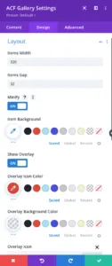 Divi ACF Masonry Gallery Layout Settings
