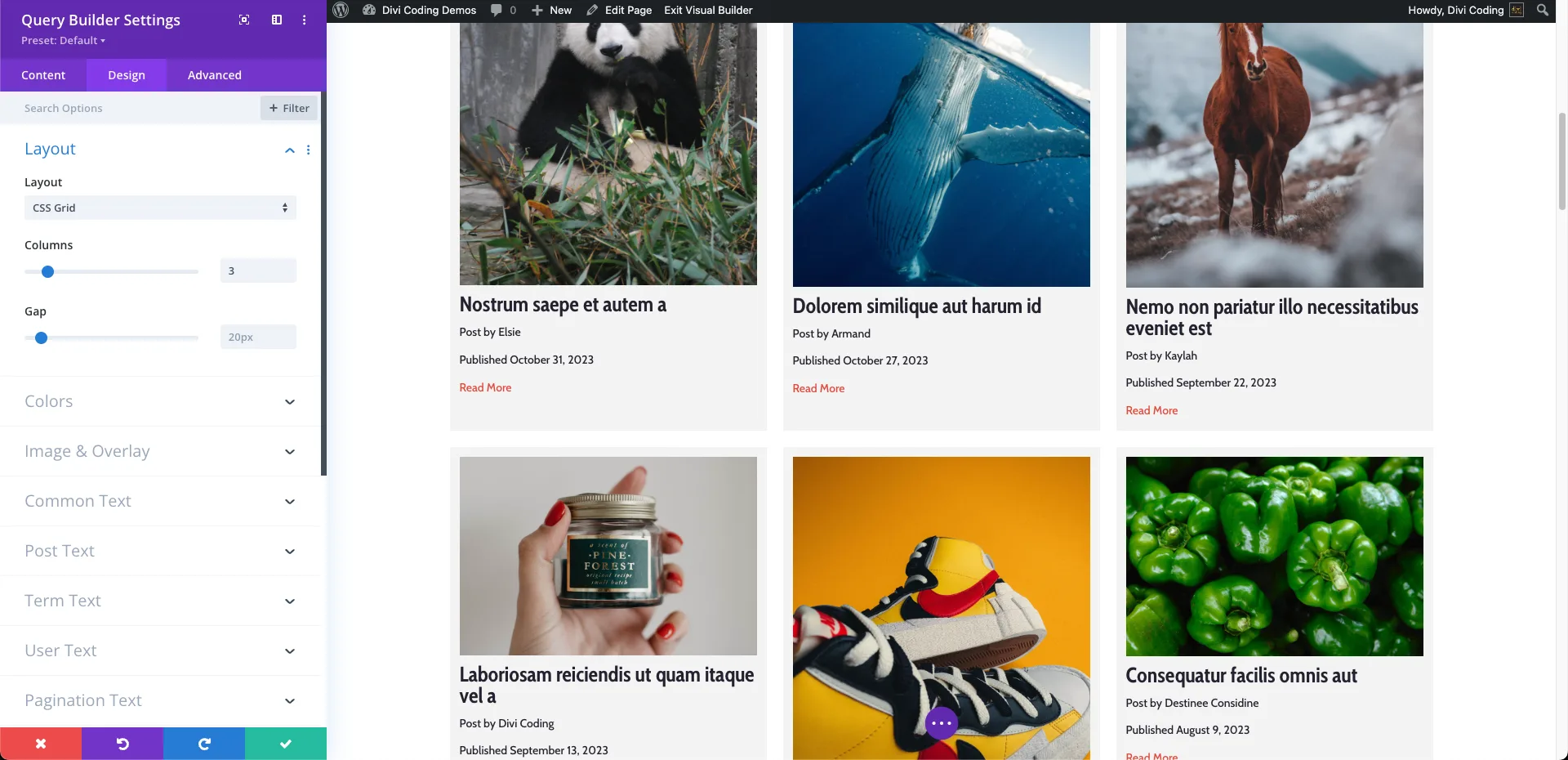 Grid Layout - VB - Divi Query Builder