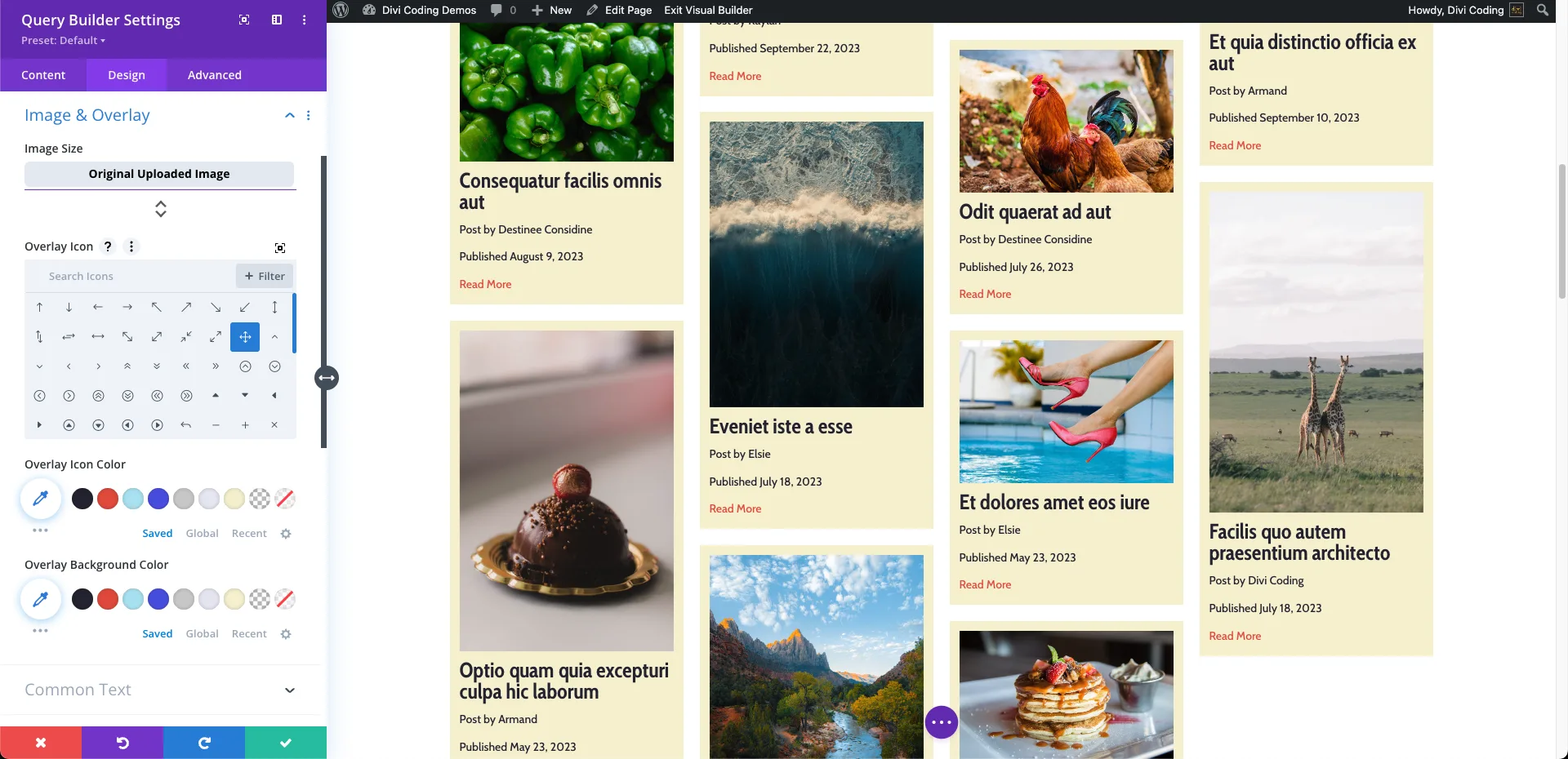 Image And Overlay - VB - Divi Query Builder