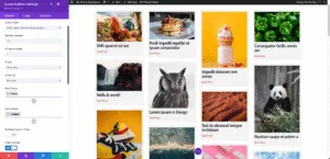 Post Query - VB - Divi Query Builder
