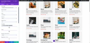 Terms Query - VB - Divi Query Builder
