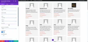Users Query - VB - Divi Query Builder