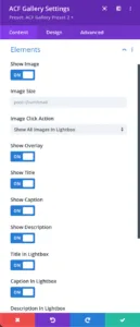Elements - Settings - Divi ACF Masonry Gallery
