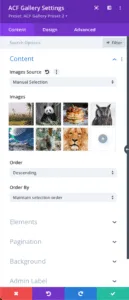 Manual Selection - Settings - Divi ACF Masonry Gallery