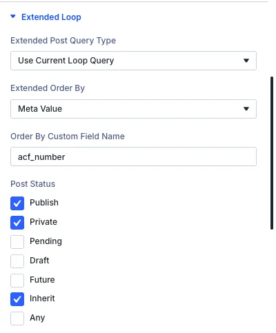 Divi Extended Loop - VB - Post Setting